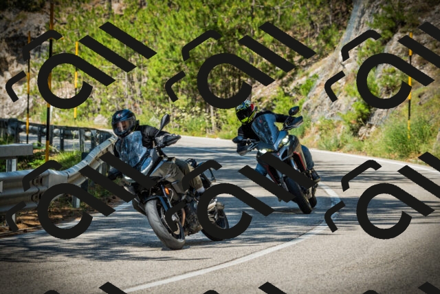 202507191104-DSC03183_c1_