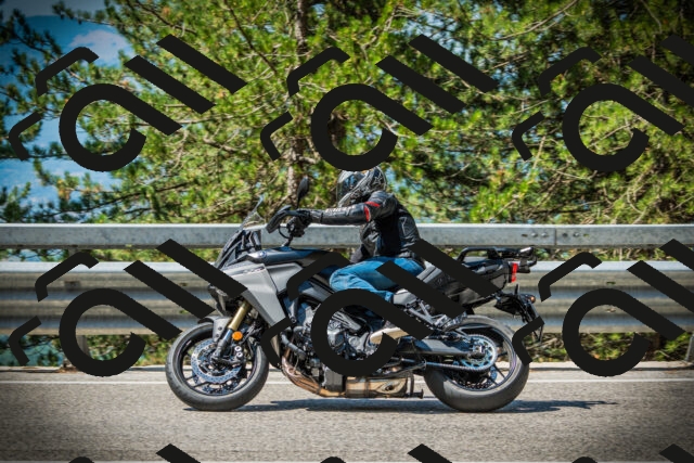 202507191104-DSC03194_c1_