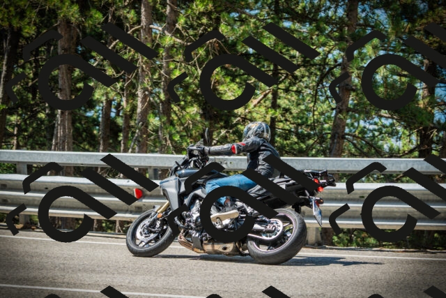 202507191104-DSC03195_c1_