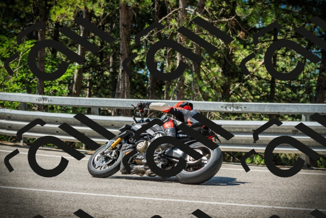 202507191106-DSC03199_c1_