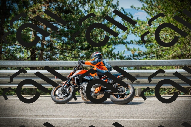 202507191106-DSC03201_c1_