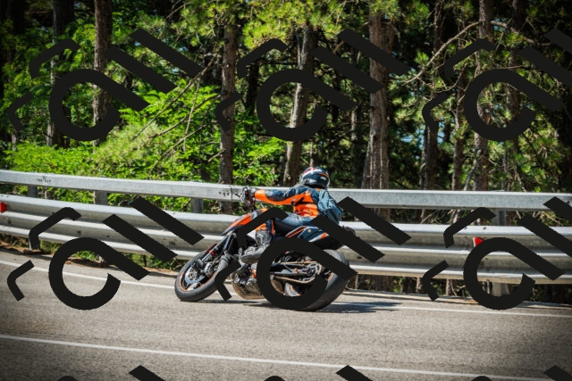 202507191106-DSC03202_c1_