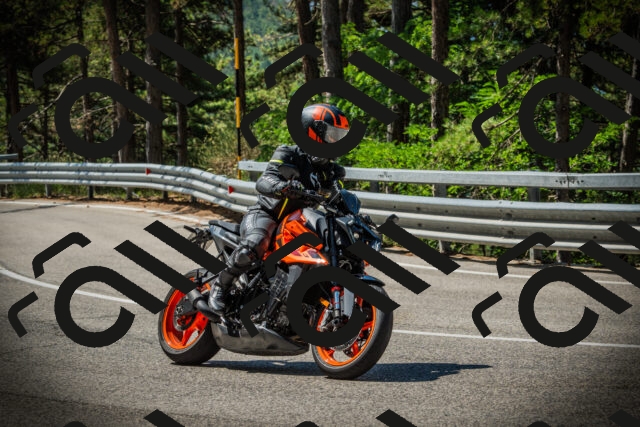 202507191106-DSC03205_c1_