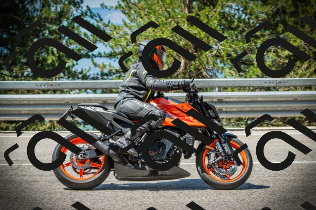 202507191106-DSC03206_c1_