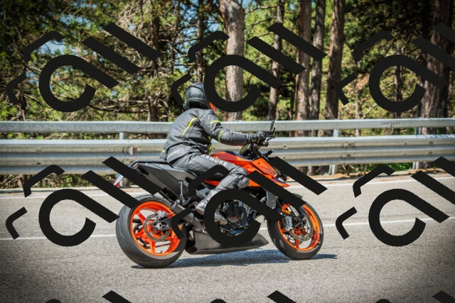 202507191106-DSC03207_c1_