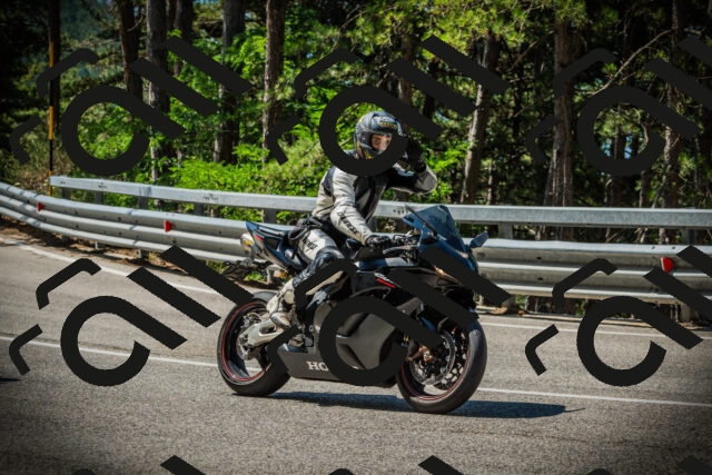 202507191106-DSC03209_c1_