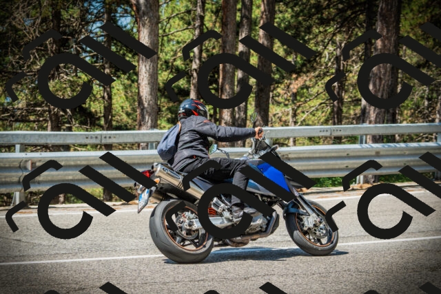 202507191106-DSC03215_c1_