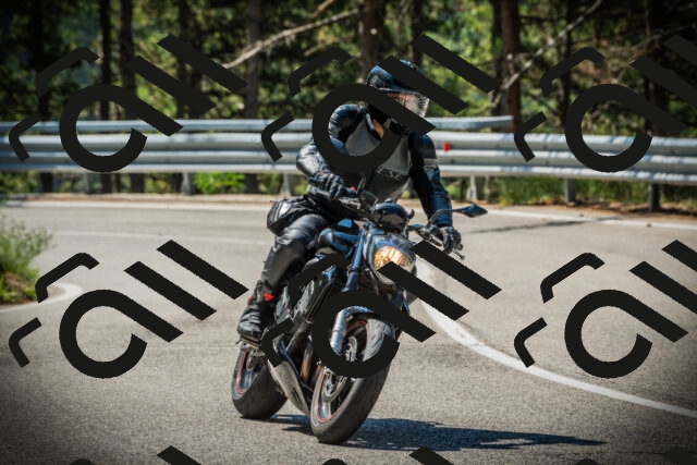 202507191107-DSC03216_c1_