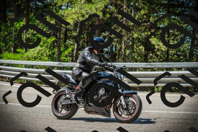 202507191107-DSC03217_c1_