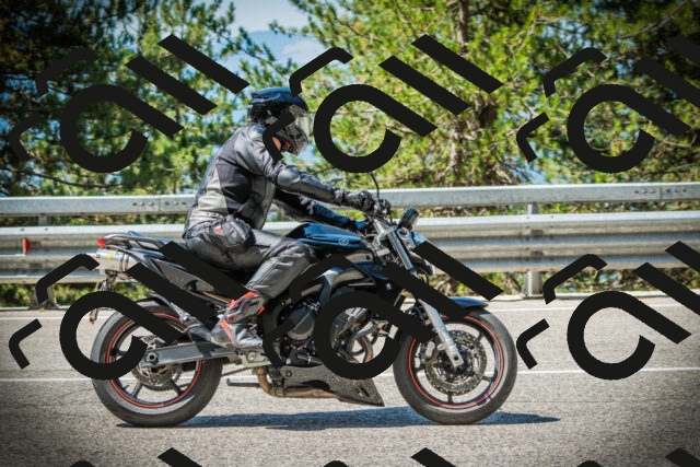 202507191107-DSC03218_c1_