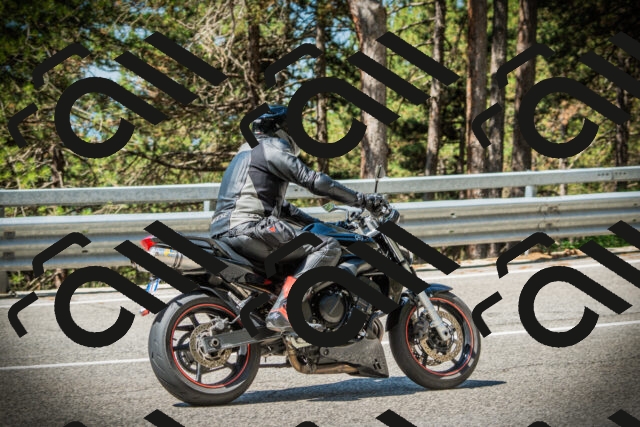 202507191107-DSC03219_c1_