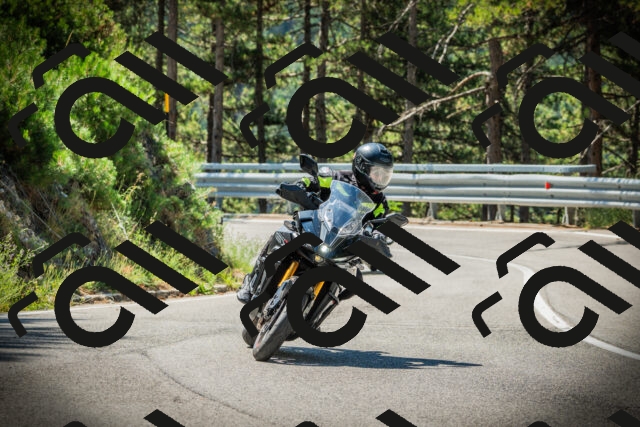 202507191108-DSC03221_c1_