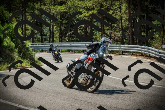 202507191108-DSC03223_c1_