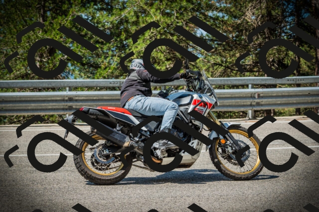 202507191108-DSC03225_c1_