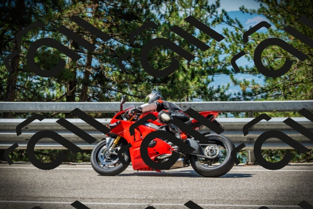 202507191109-DSC03230_c1_