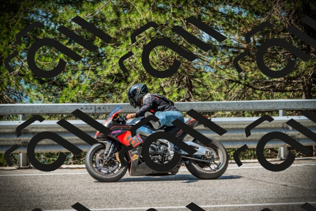 202507191109-DSC03231_c1_