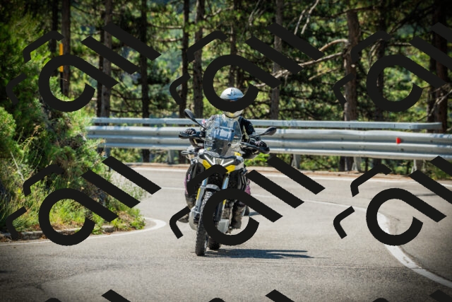 202507191110-DSC03234_c1_