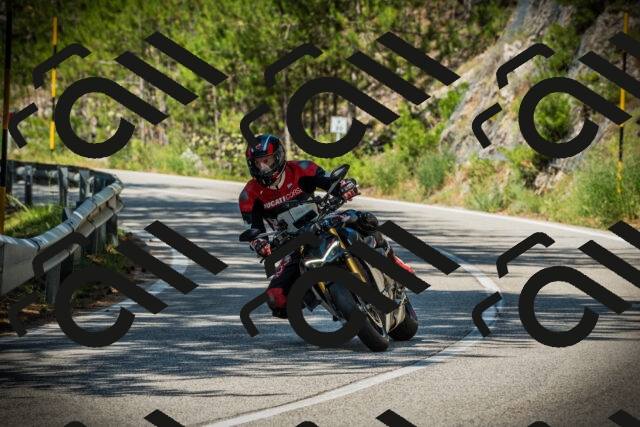 202507191110-DSC03241_c1_