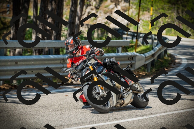 202507191110-DSC03242_c1_