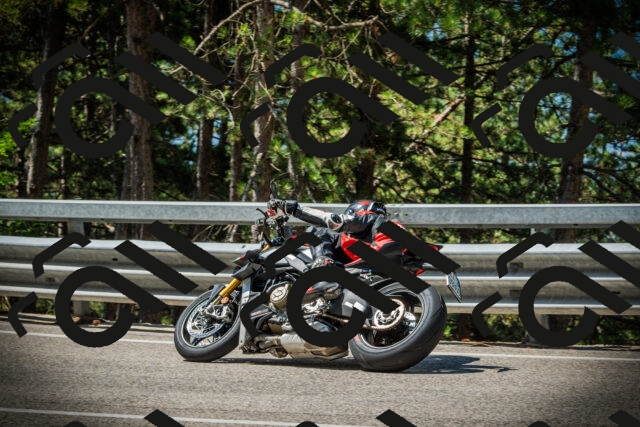 202507191110-DSC03244_c1_