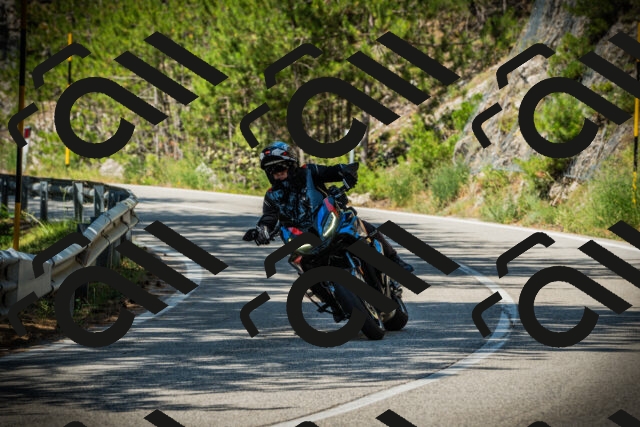 202507191111-DSC03253_c1_