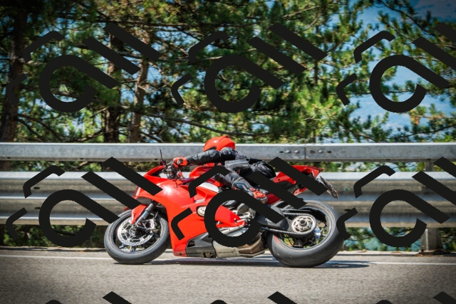 202507191112-DSC03272_c1_