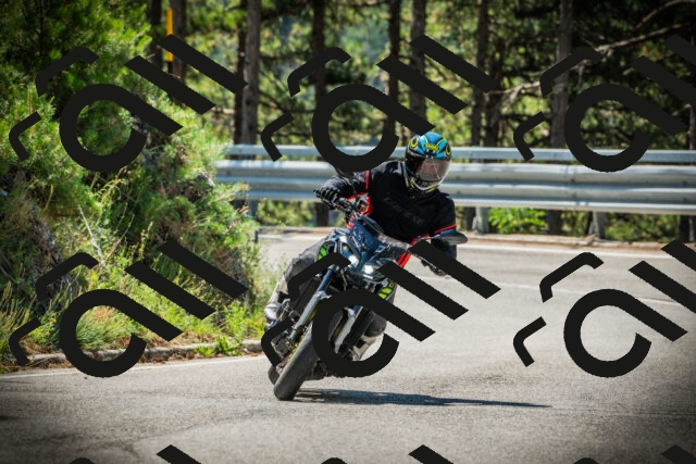 202507191112-DSC03274_c1_