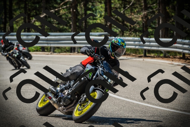 202507191112-DSC03275_c1_