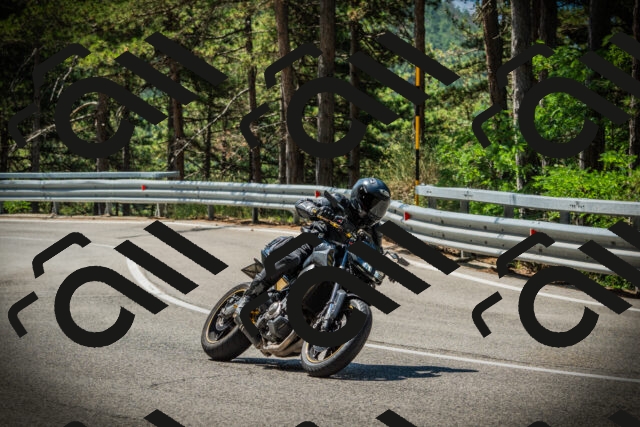 202507191112-DSC03278_c1_