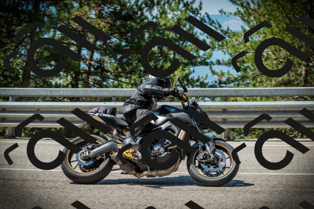 202507191112-DSC03279_c1_