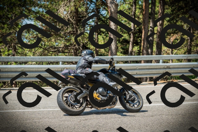 202507191112-DSC03280_c1_