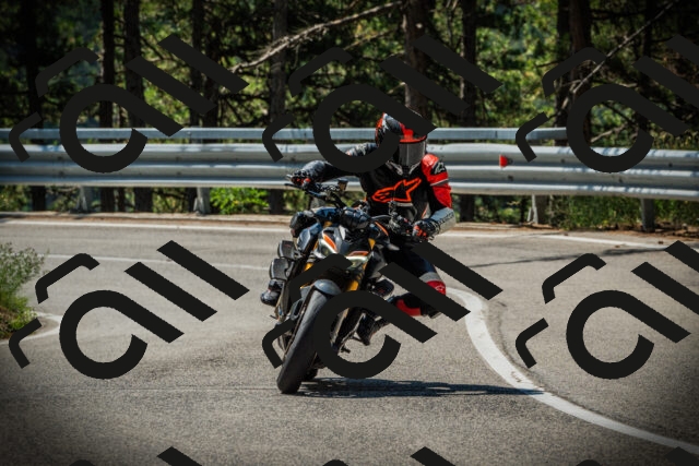 202507191112-DSC03284_c1_