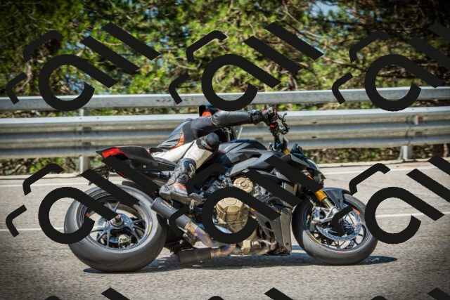 202507191112-DSC03286_c1_