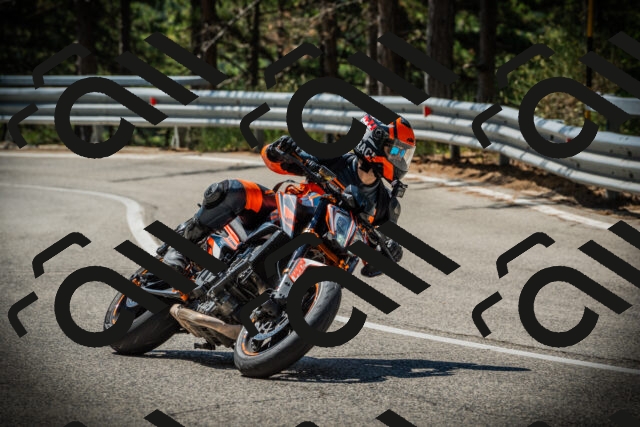 202507191112-DSC03288_c1_