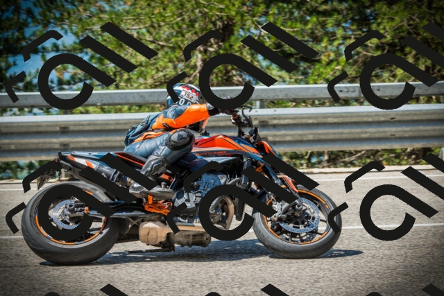 202507191112-DSC03289_c1_