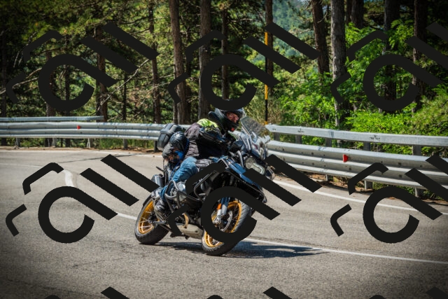 202507191114-DSC03308_c1_