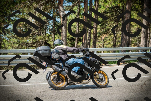 202507191114-DSC03310_c1_