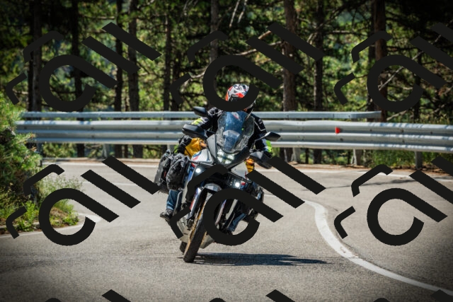 202507191114-DSC03323_c1_