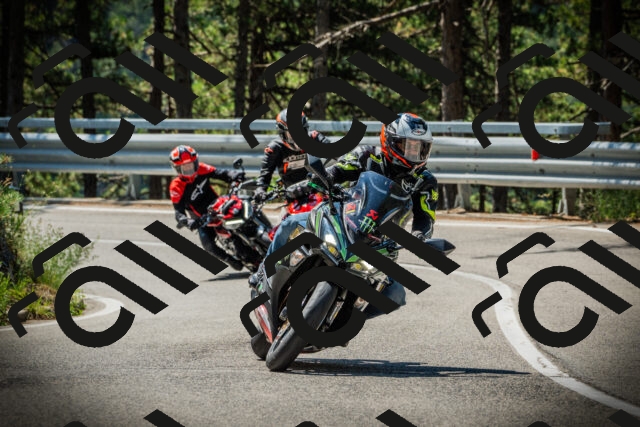 202507191114-DSC03328_c1_