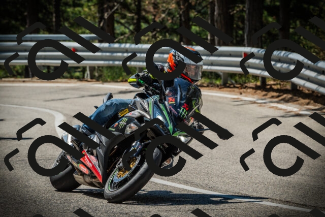 202507191114-DSC03329_c1_