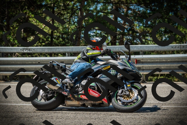 202507191114-DSC03330_c1_