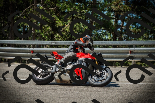 202507191114-DSC03331_c1_