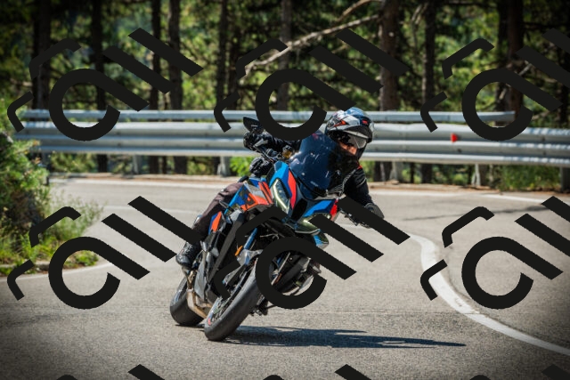 202507191114-DSC03339_c1_