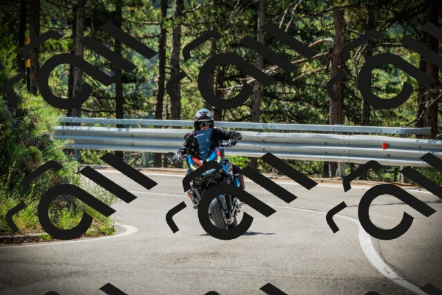 202507191116-DSC03346_c1_