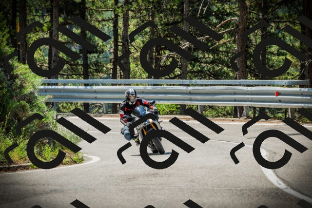 202507191116-DSC03354_c1_