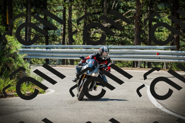 202507191116-DSC03355_c1_