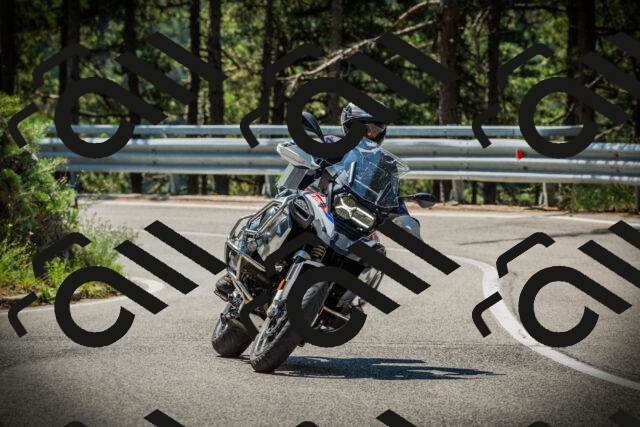 202507191117-DSC03361_c1_