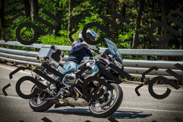 202507191117-DSC03362_c1_