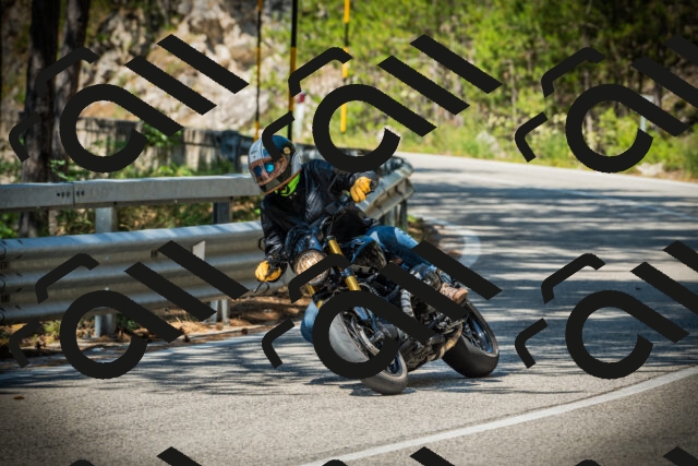 202507191117-DSC03366_c1_