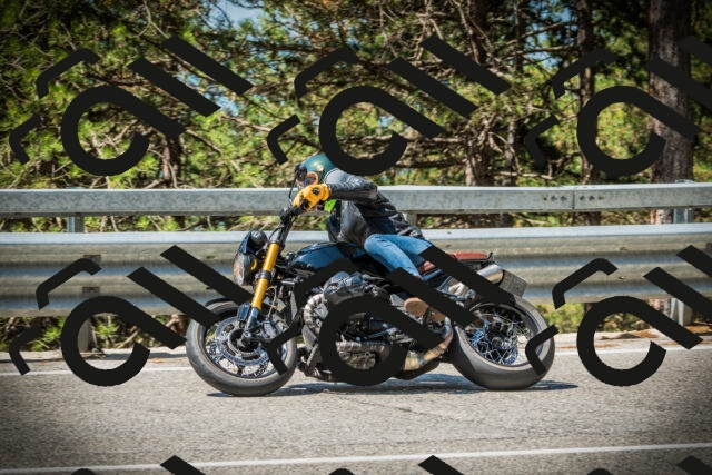 202507191117-DSC03367_c1_